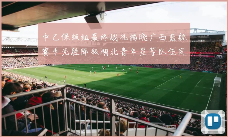 中乙保级组最终战况揭晓广西蓝航赛季无胜降级湖北青年星等队伍同遭降级