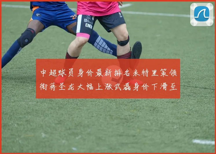 中超球员身价最新排名米特里策领衔蒋圣龙大幅上涨武磊身价下滑至50万