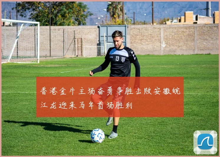 香港金牛主场奋勇争胜击败安徽皖江龙迎来马年首场胜利
